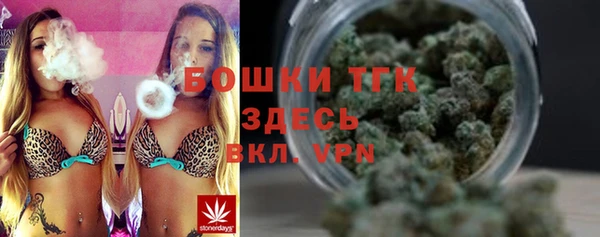 шишки Верхний Тагил