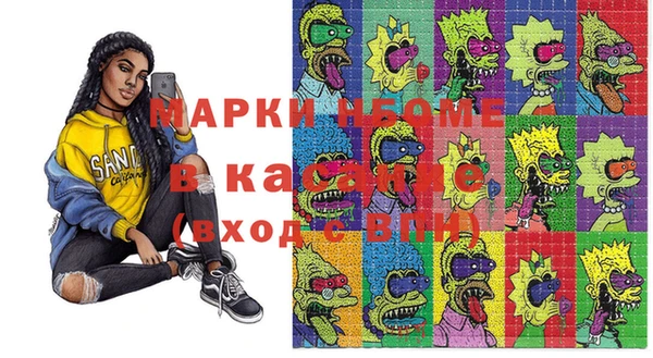 шишки Верхний Тагил