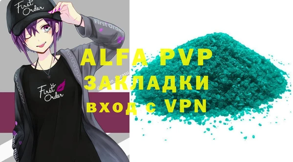 шишки Верхний Тагил