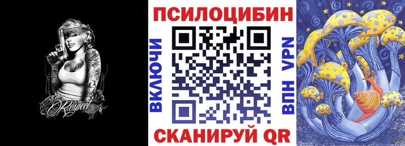 Псилоцибиновые грибы мицелий где найти Санкт-Петербург